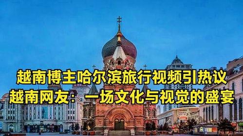 网友爆料哈尔滨旅游视频,网友爆料，冰雪魅力尽收眼底  第3张